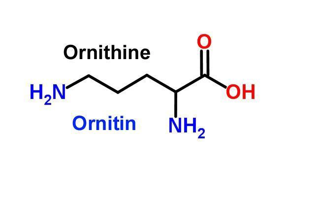 Орнитин