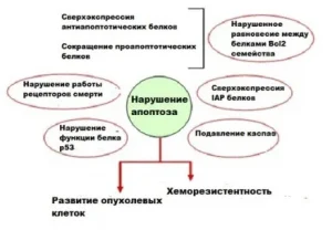 апоптотические пути могут быть нарушены