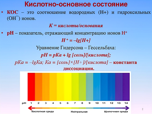 кислотно основное состояние