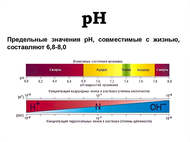 рн