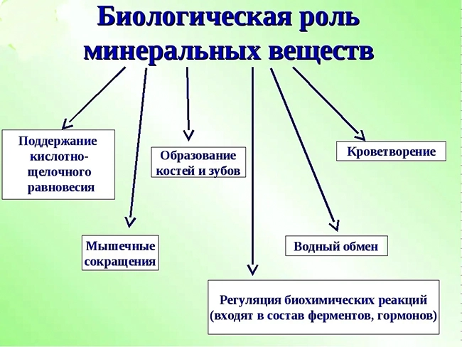 роль минеральных веществ