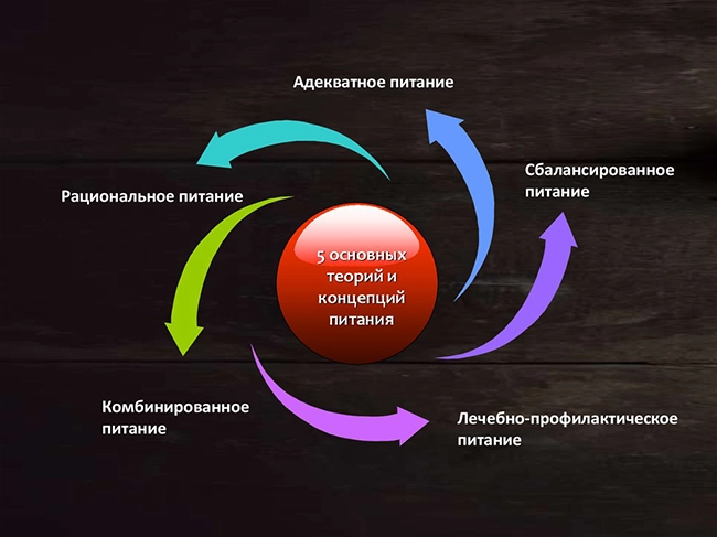 теории питания